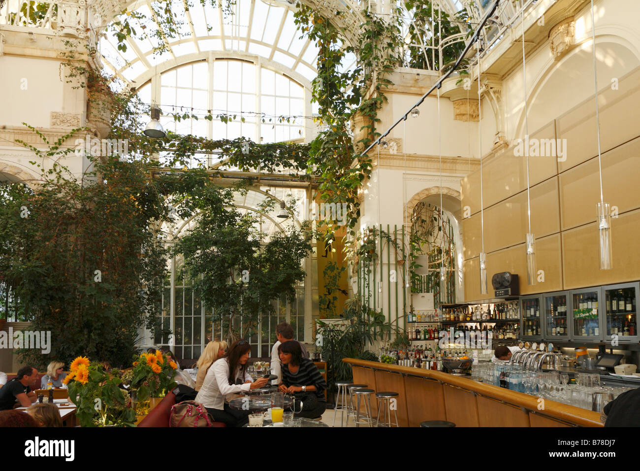 Café Palmenhaus in the Burggarten, Vienna, Austria, Europe Stock Photo