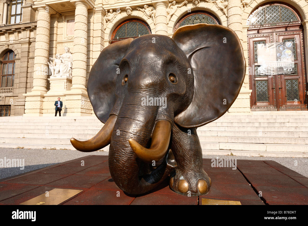 Afrikanischer Elefant' by Gottfried Kumpf, Museum of Natural History, Vienna, Austria, Europe Stock Photo