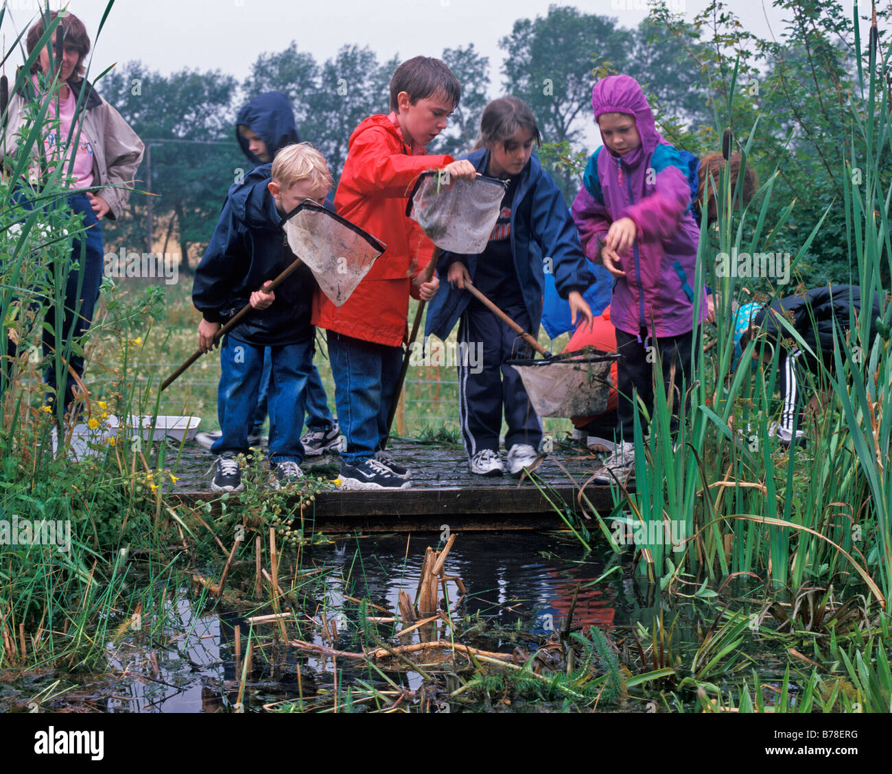 GROUP OF CHILDREN POND DIPPING Stock Photo