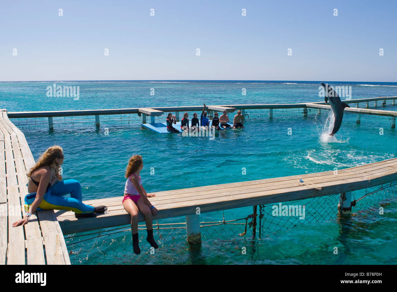 School children observing a dolphin during a biology lesson by a dolphin trainer, Anthony's Key Resort, Roatan, Honduras, Centr Stock Photo