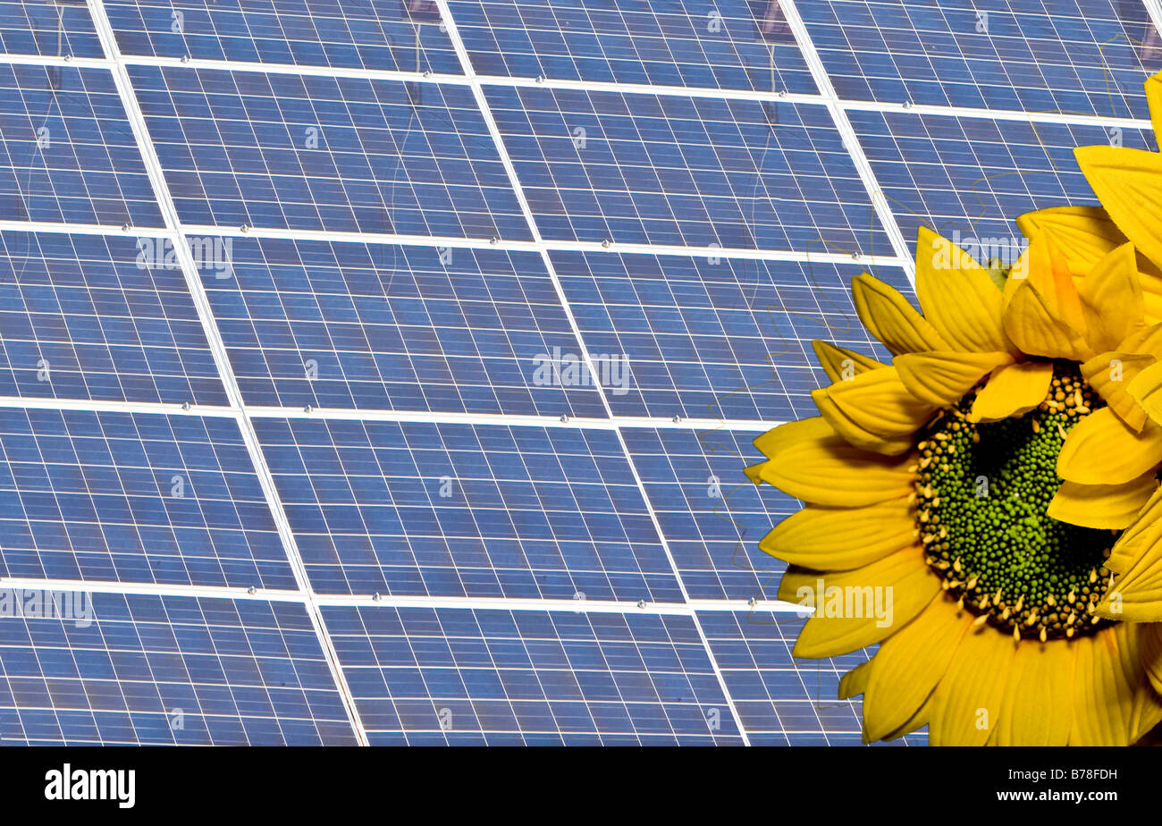 Renewable energy, solar plant on the roof of a house, sunflower next to