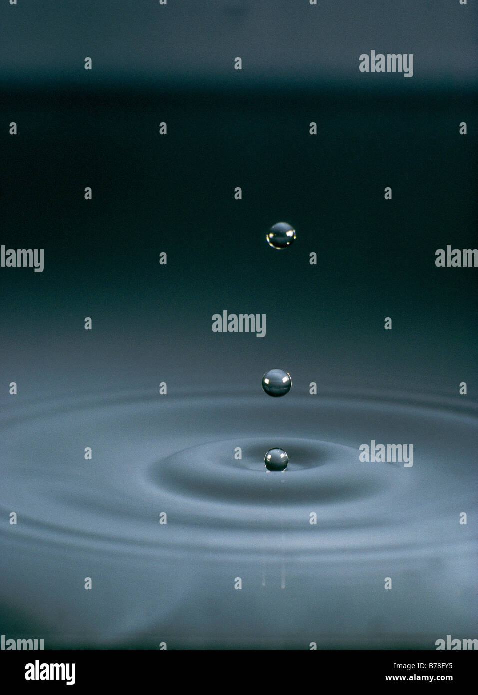 three water droplets and ripples,grey background Stock Photo