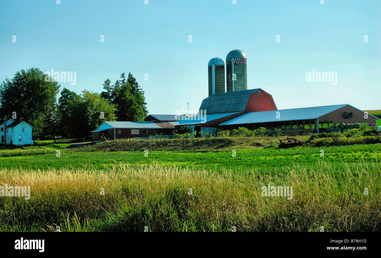 Barn complex in Benton Center,New York Stock Photo Alamy
