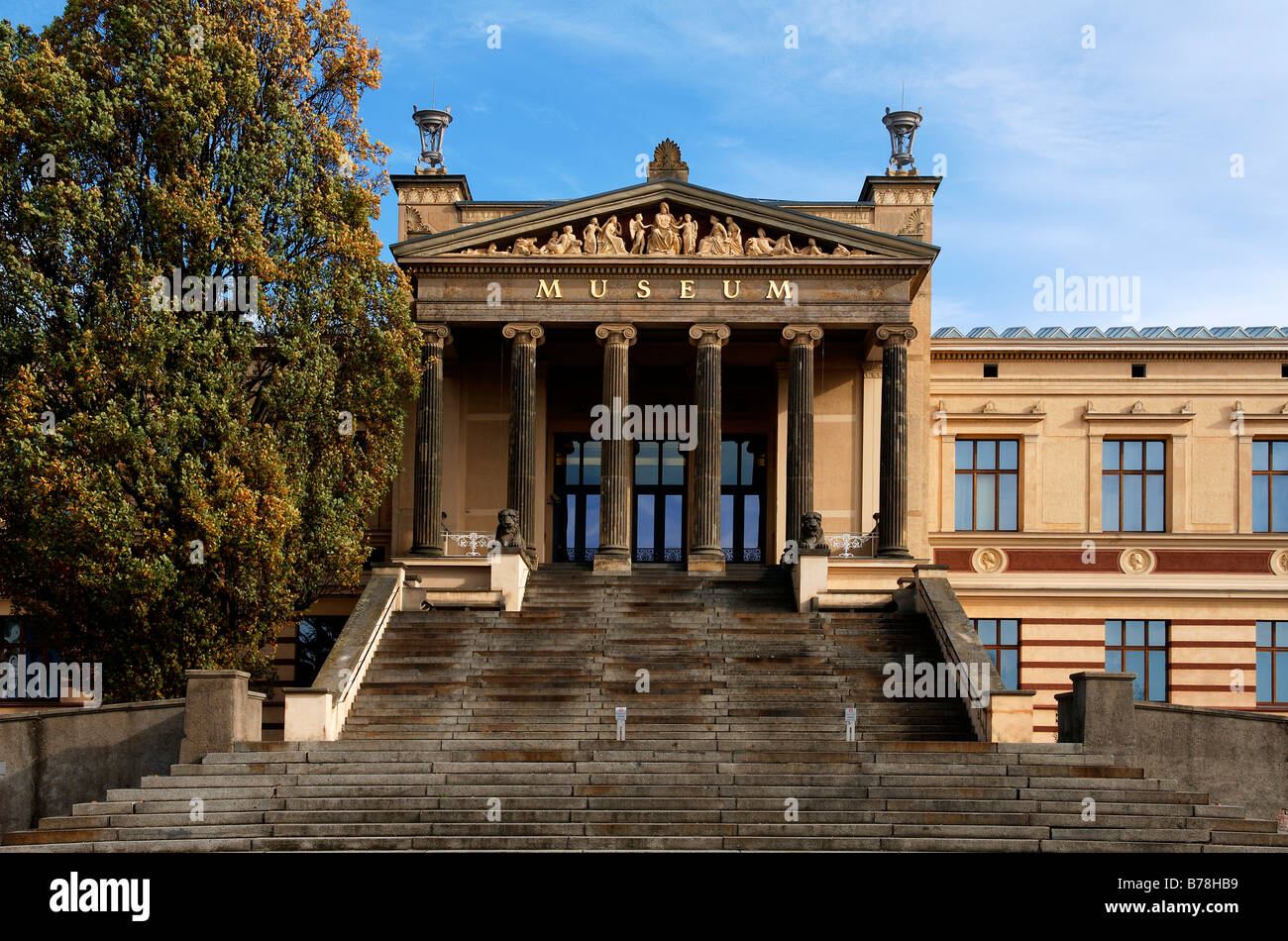 Schwerin Museum, Schwerin, Mecklenburg-Western Pomerania, Germany, Europe Stock Photo