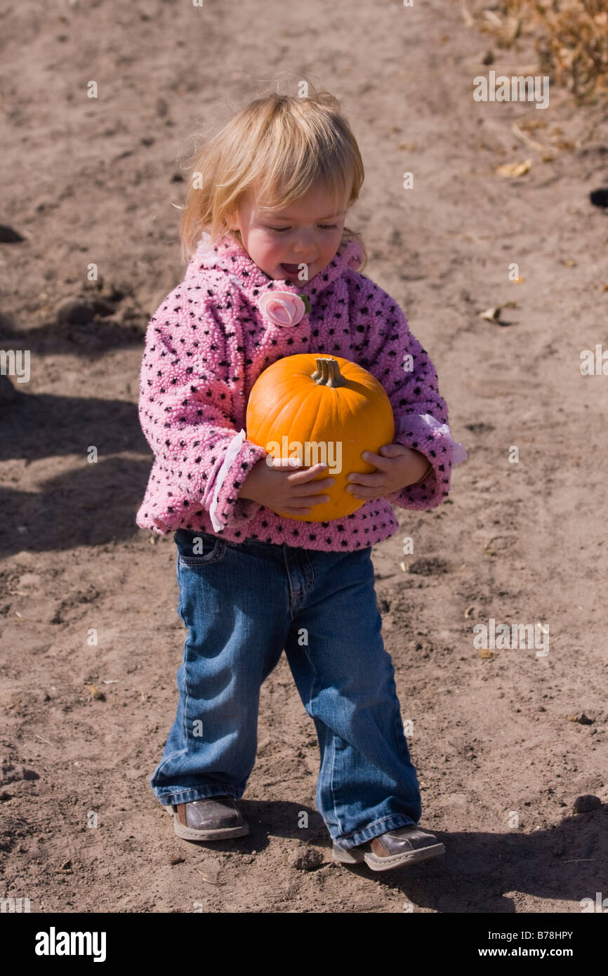 A little girl in a pumpkin patch in Fallon Nevada Stock Photo - Alamy
