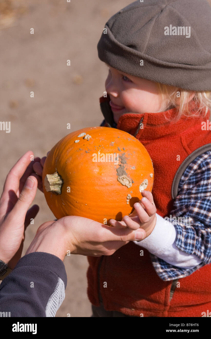 A little boy with a pumpkin Stock Photo