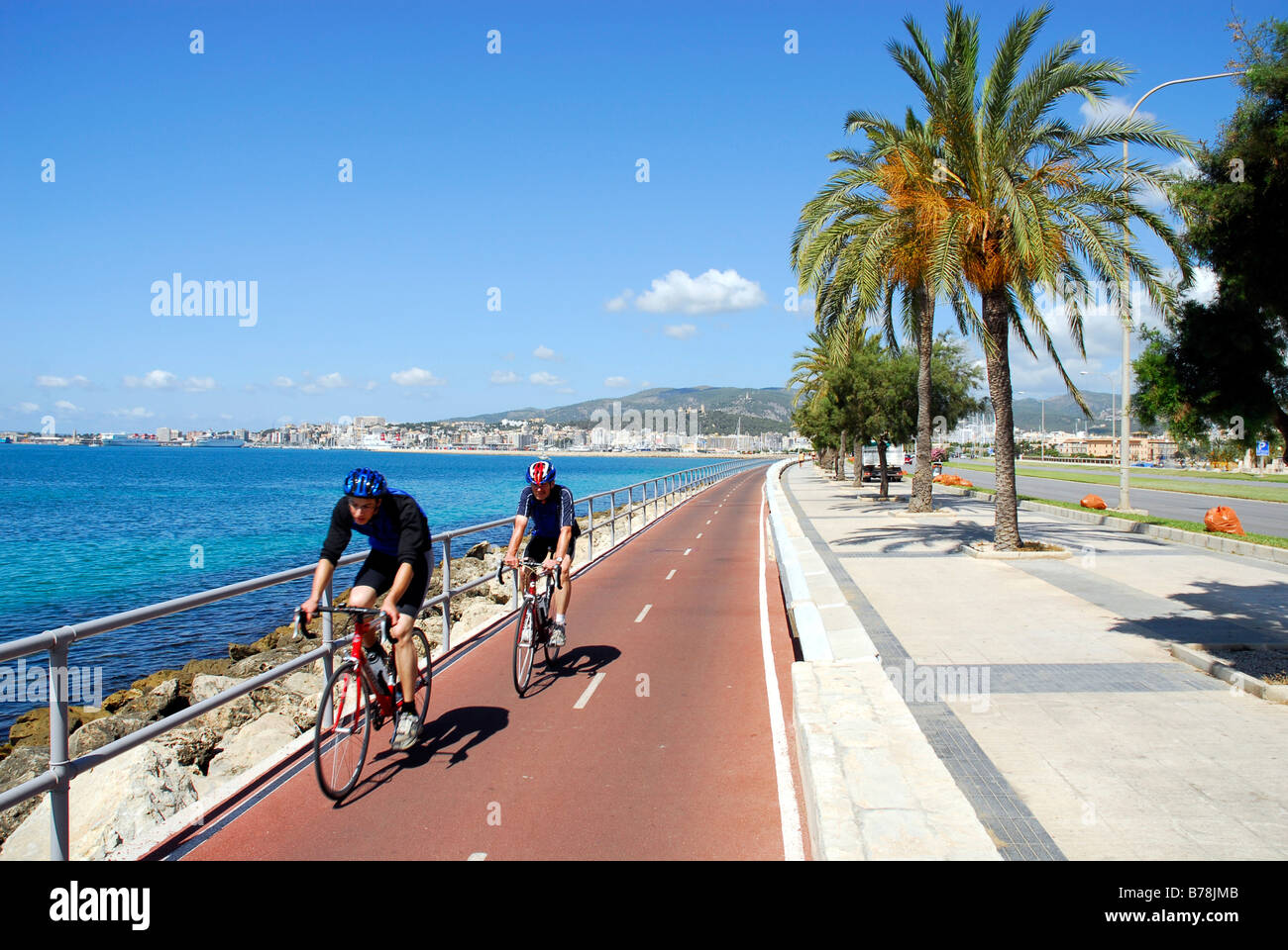 Bicycle lane with palm trees and a sea view along the Autopista de Levante, Palma de Mallorca, Majorca, Balearic Islands, Medit Stock Photo