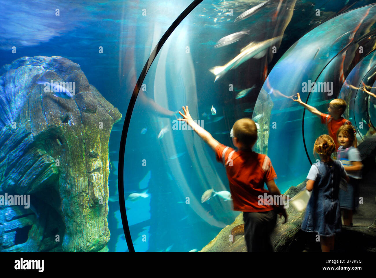Sea Life Aquarium at the Olympiazentrum, Olympic Center, children ...