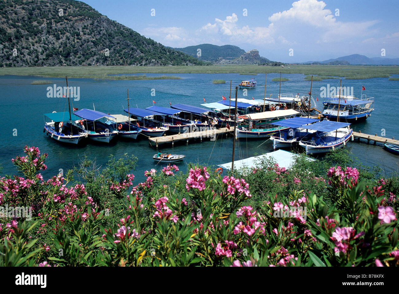 Boats on river, oleander in nature reserve, Iztuzu Beach, Turtle Beach, Daylan, Mugla Province, Mediterranean, Turkey Stock Photo