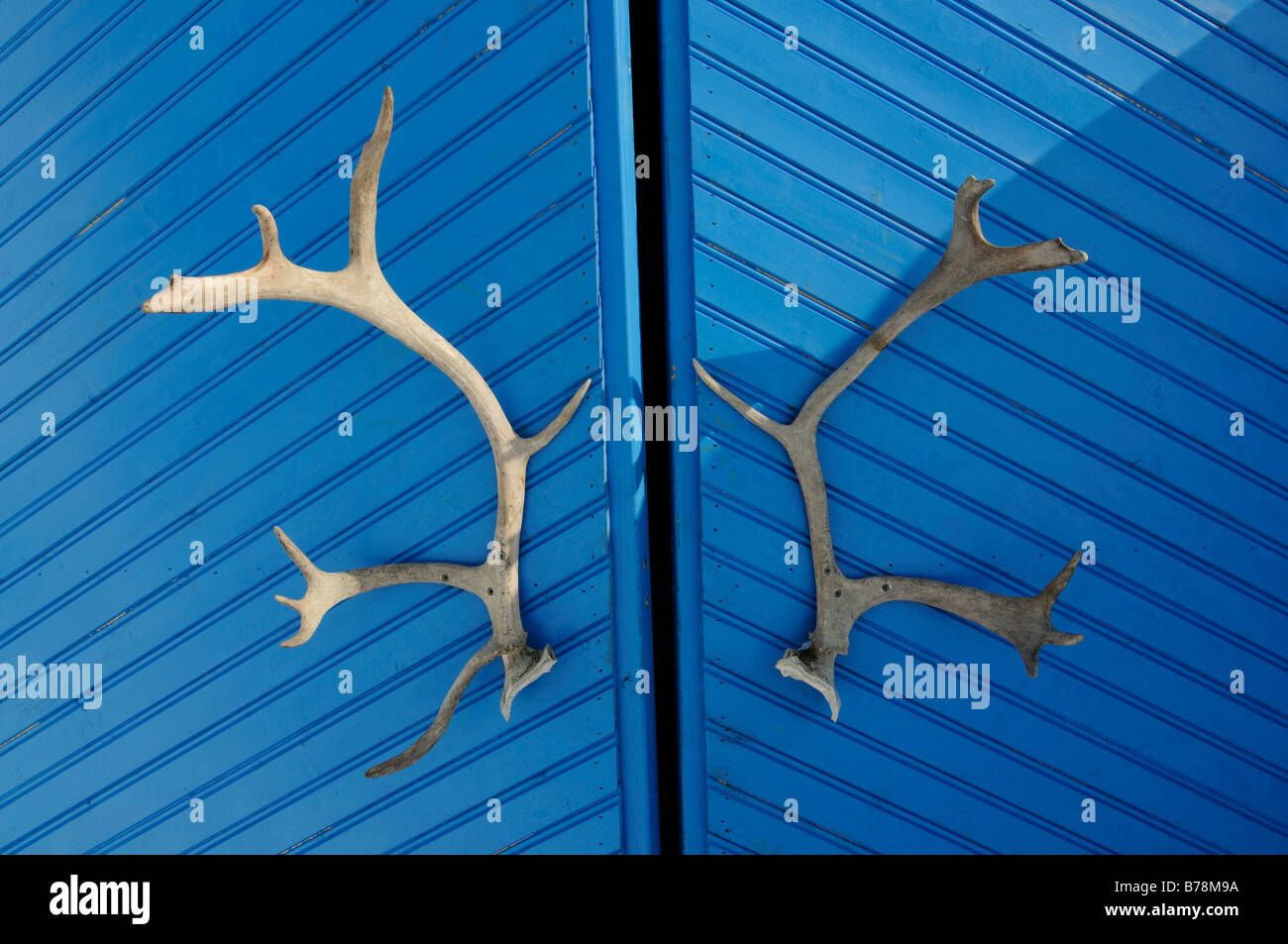 Entry doors to the igloo-hotel with caribou-antlers, Snow Hotel, Kirkenes, Finnmark, Lapland, Norway, Scandinavia, Europe Stock Photo