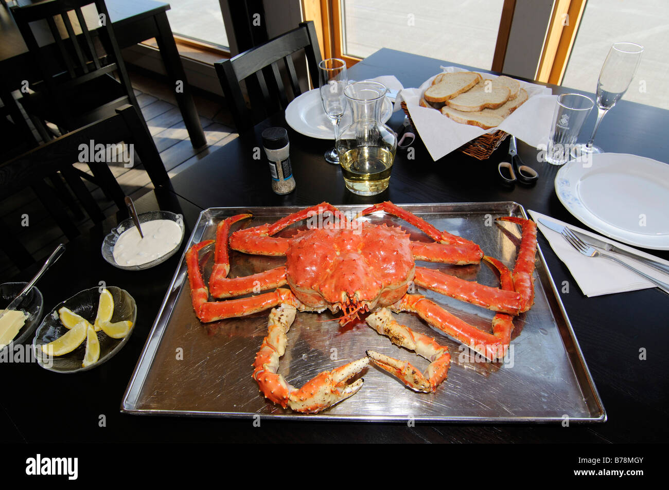 Norway king crab hi-res stock photography and images - Alamy