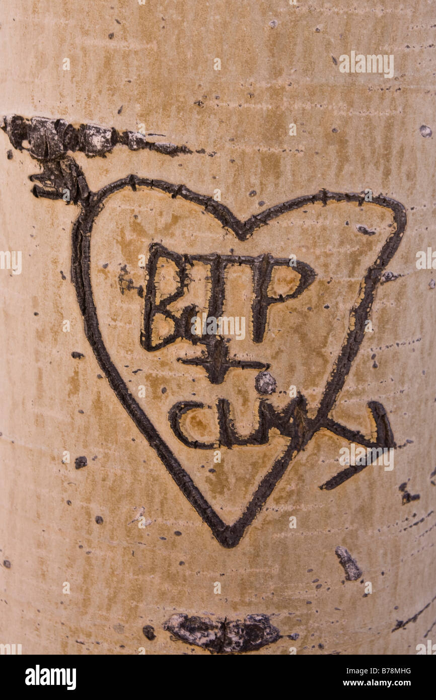 A heart and initials carved into an aspen tree Stock Photo