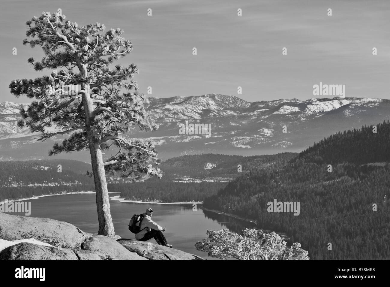 A man sitting by a tree above Donner Lake on a snowy day in California Stock Photo