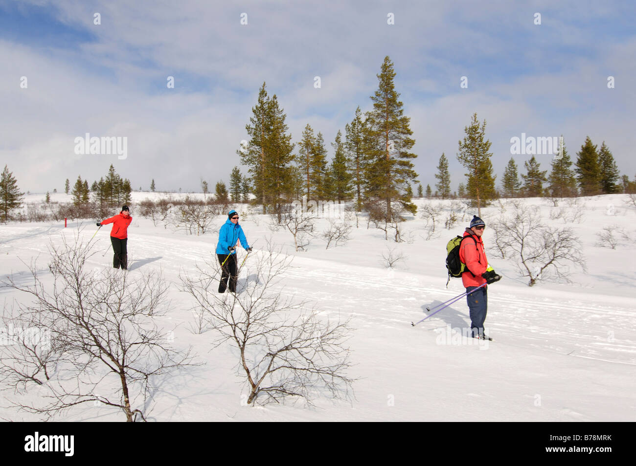 Nordic ski, crosscountry skiers in Urho Kekkonen Nationalpark