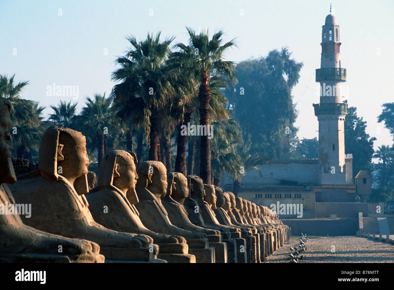 Egypt Ancient Temples At Luxor Photograph By Julio Etchart Stock Photo Alamy Egypt Ancient Temples At Luxor Photograph By Julio Etchart Stock Photo Alamy
