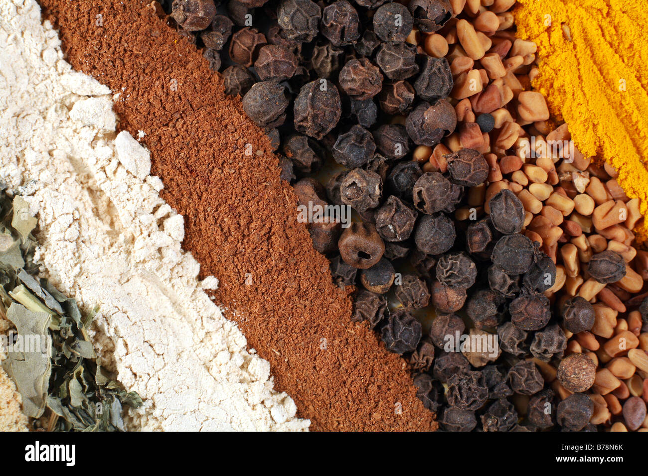 Spices used in curries methi (fenugreek leaves),garlic powder,ground