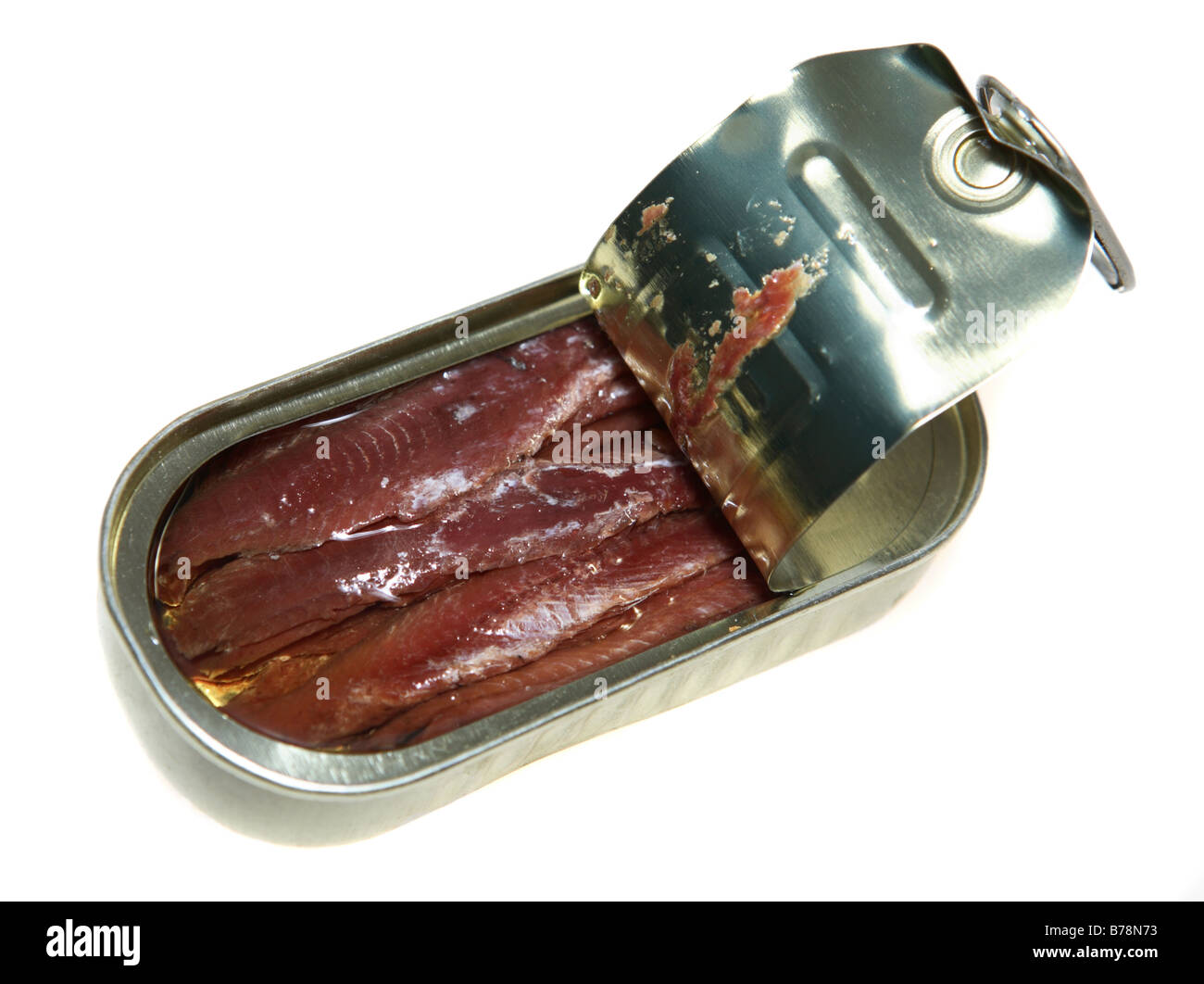 An opened tin of anchovy fillets Stock Photo Alamy