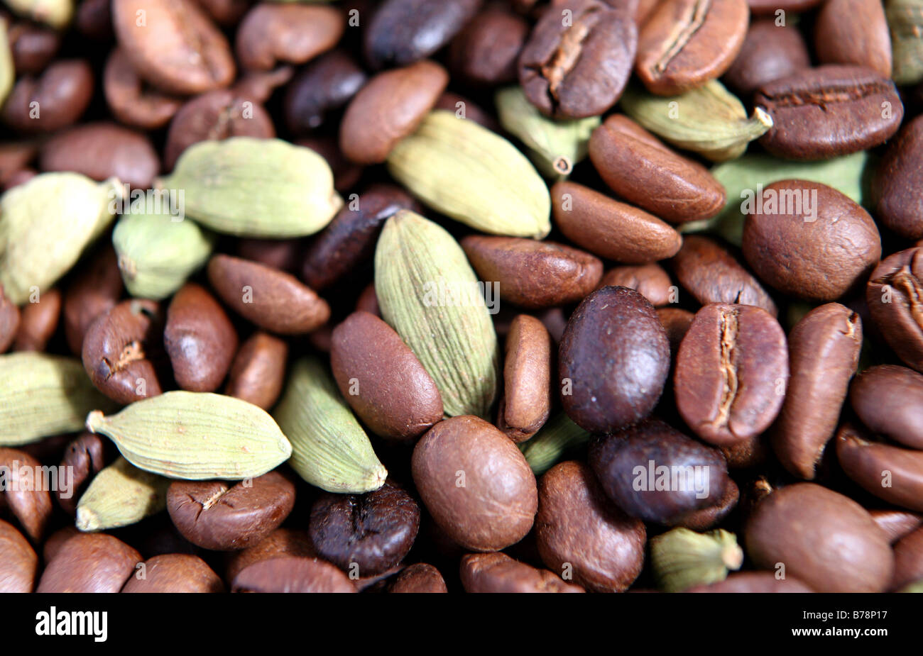 Coffee beans and cardamon pods. Cardamon is used for giving Arabian