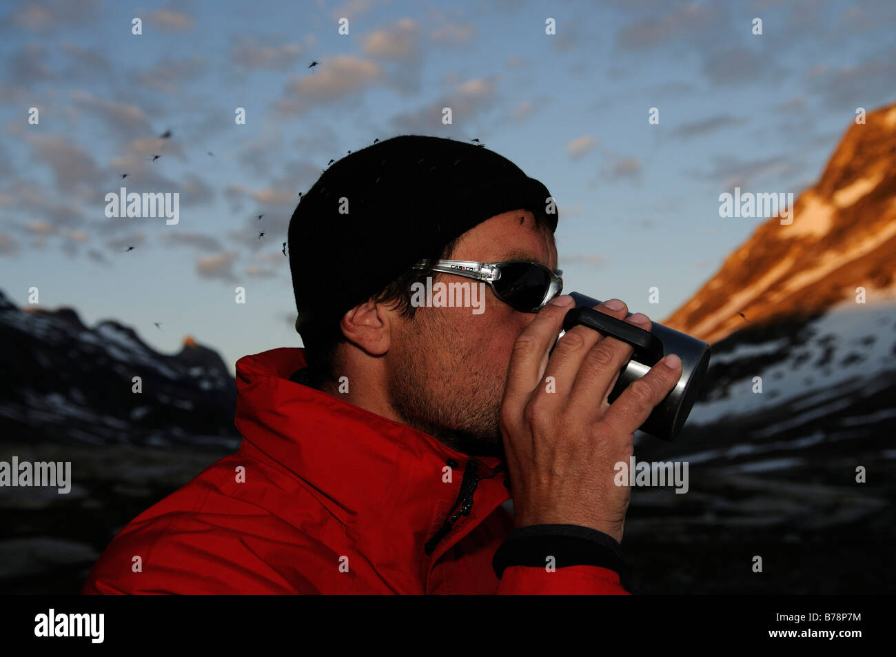 Hiker being besieged by moskitoes, Ikasartivaq-Fjord, East-Greenland, Greenland Stock Photo