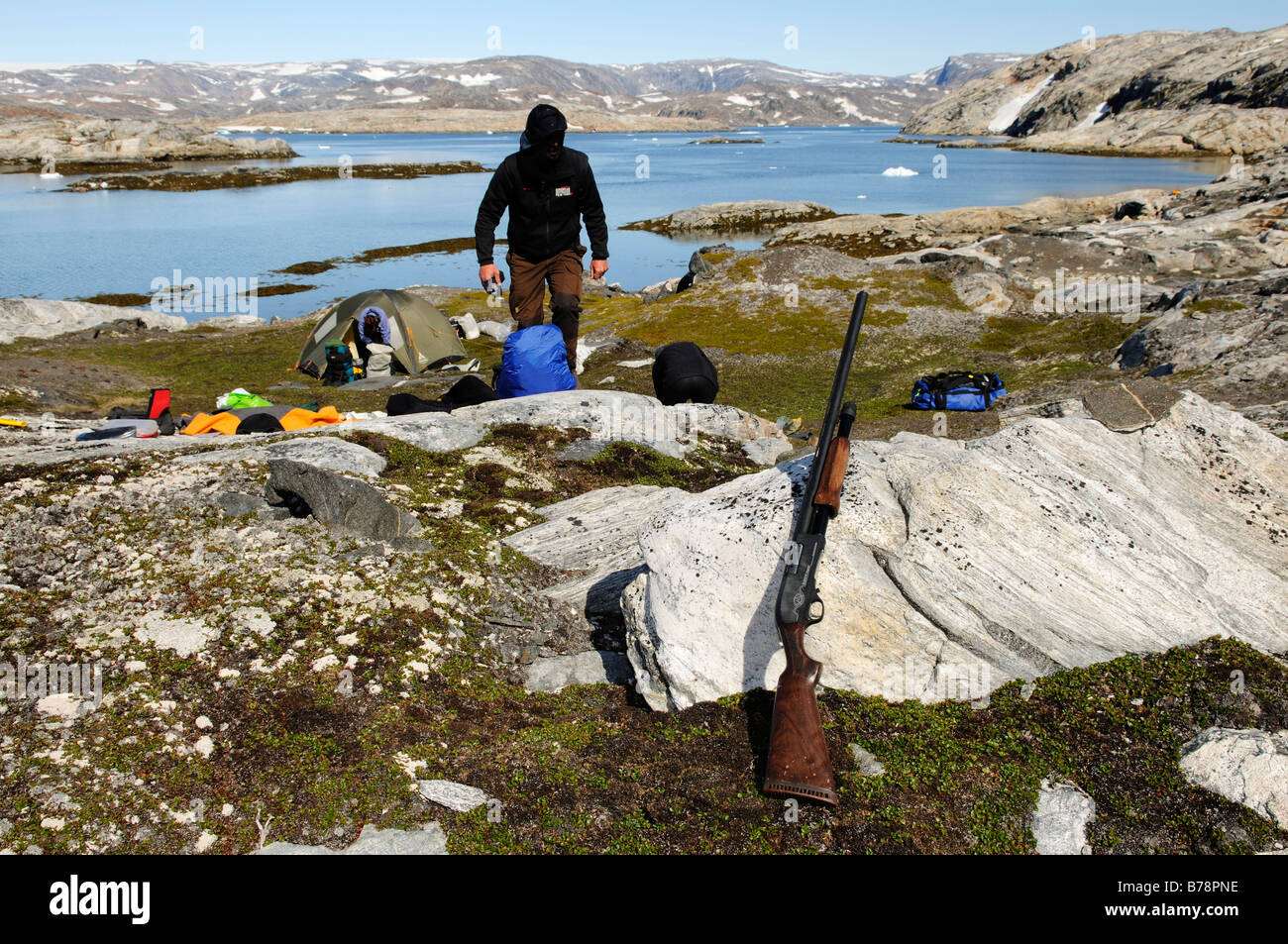 Trekker checking his shotgun for defence against polar bears, Ikasartivaq Fiord, East Greenland Stock Photo