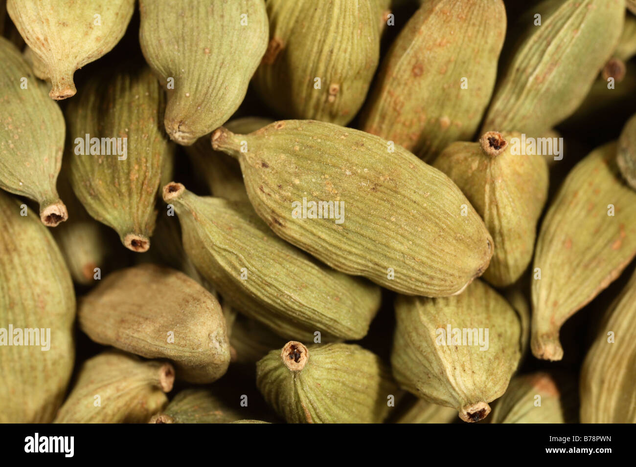 Green cardamon pods,an important ingredient in many Asian dishes and in