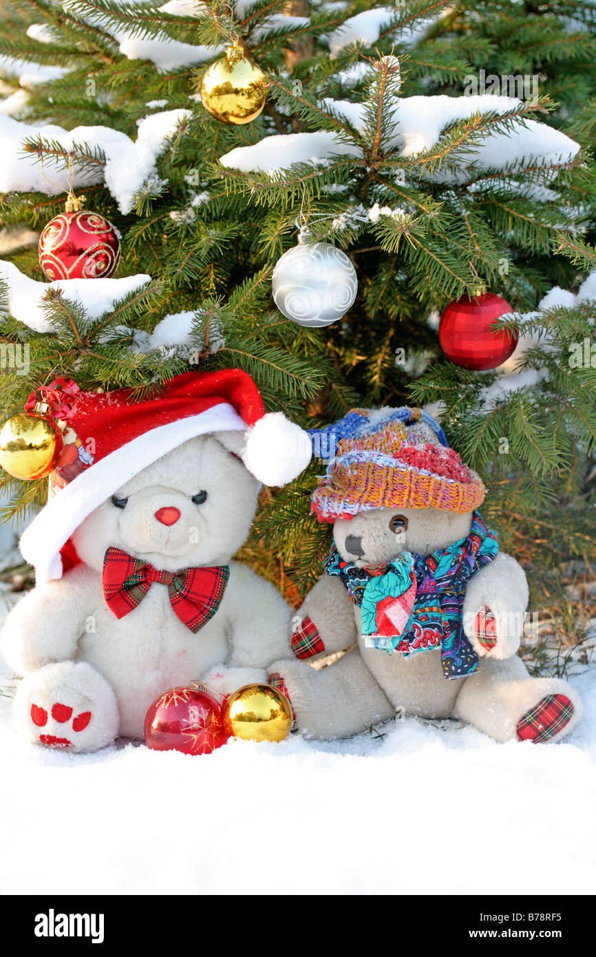Bear Inflatable Outdoor Christmas Stuffed Bears Teddy Bears Under An  Outdoor Christmas Tree In The Snow Stock Photo Alamy, image size:866x1390