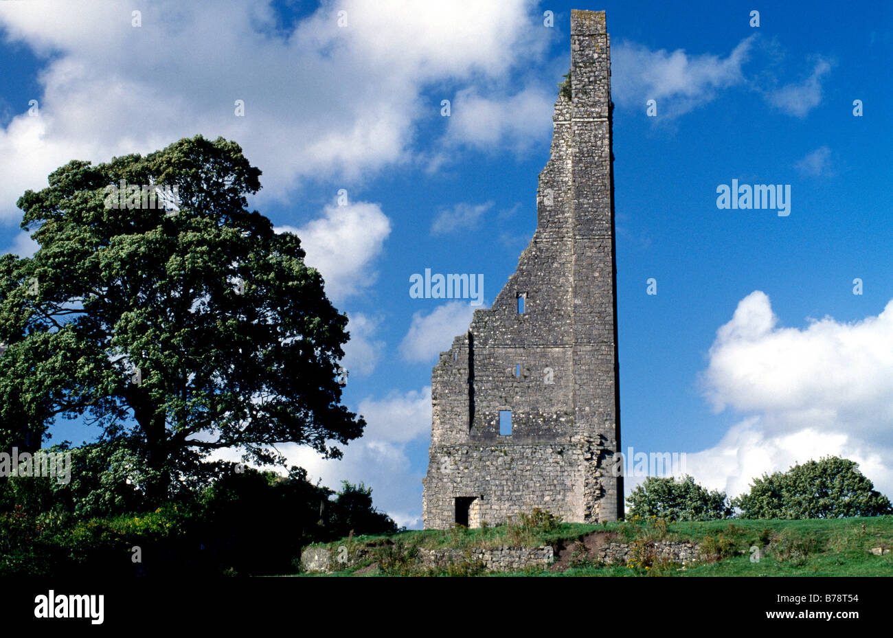 Trim Castle, County Meath, Ireland, Europe Stock Photo Alamy