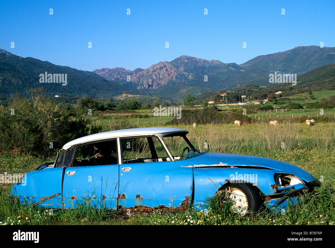 Car wreck, Citroen, Saint Florent, Corsica, France, Europe Stock Photo