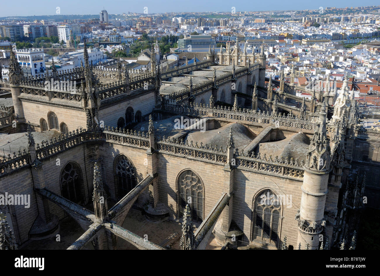 Cathedral, Catedral de Santa Maria de la Sede, Sevilla, Andalusia, Spain, Europe Stock Photo