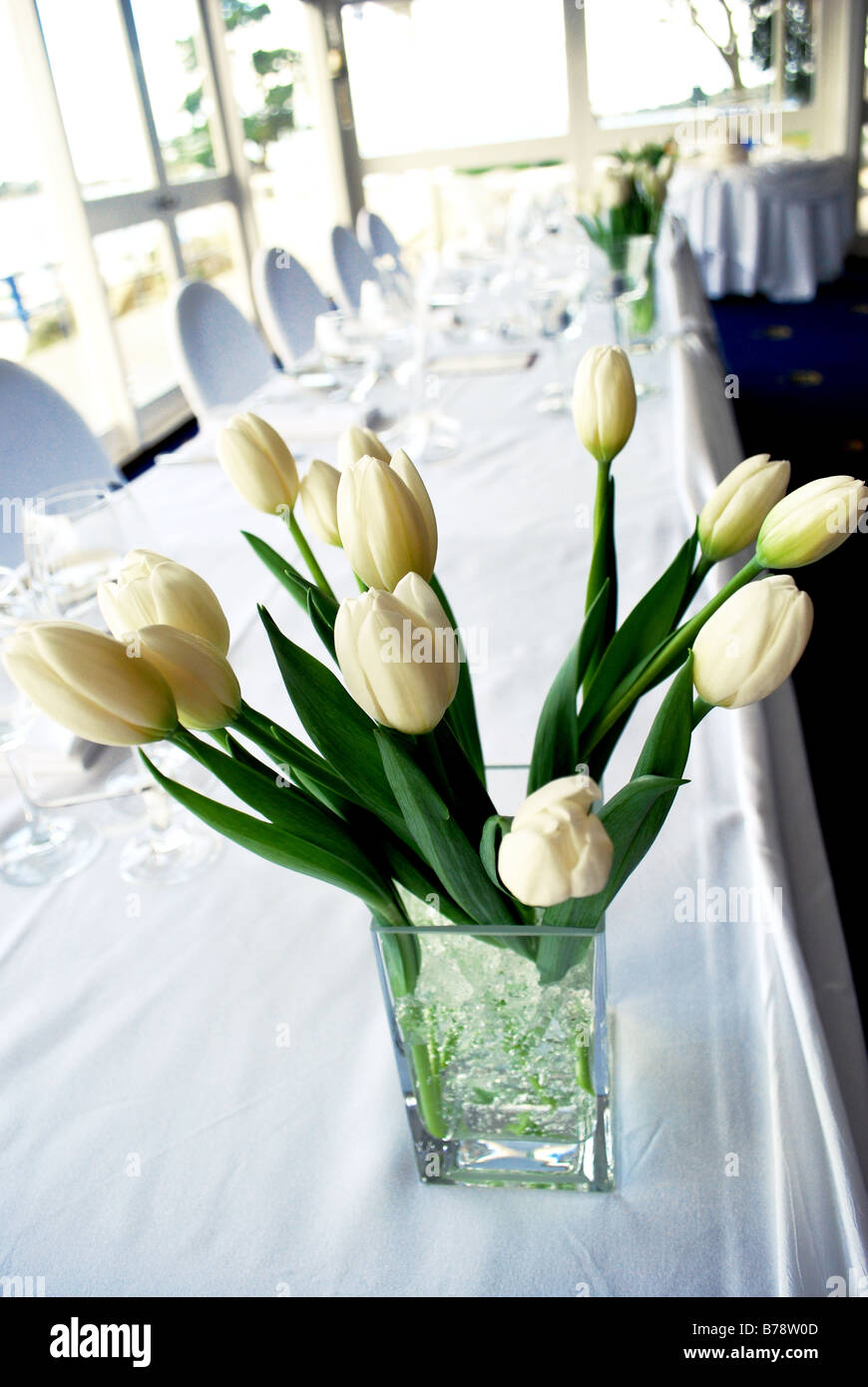 White tulip table setting Stock Photo Alamy