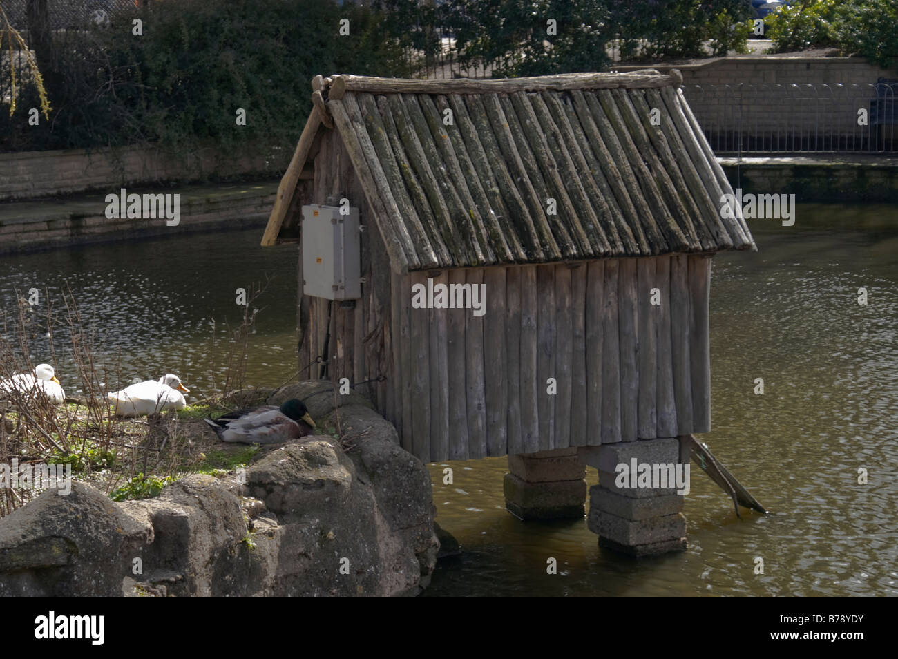 Duck house by pond hires stock photography and images Alamy