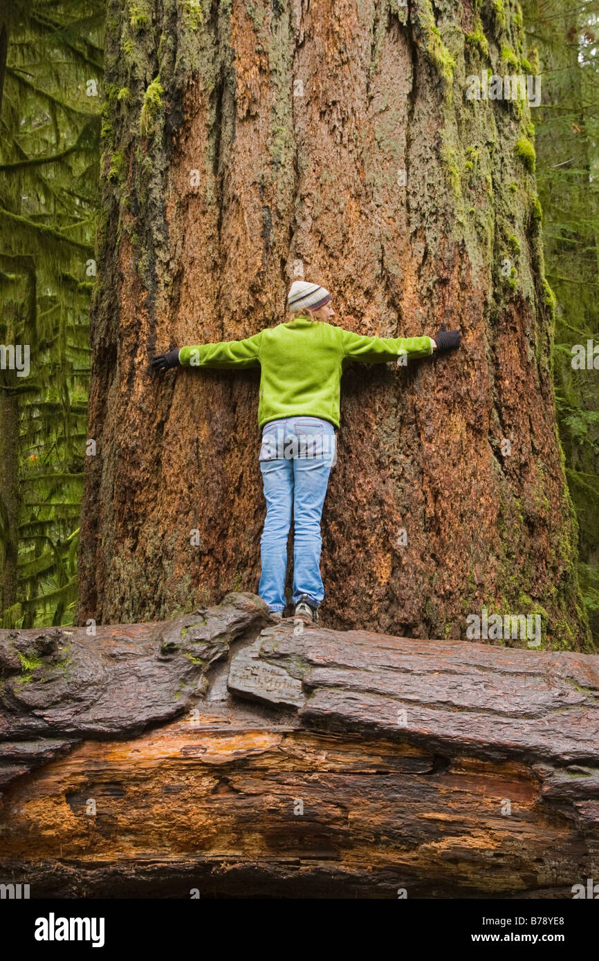 A woman hugging an old growth tree in a rainforest on Vancouver Island in British Columbia in Canada Stock Photo