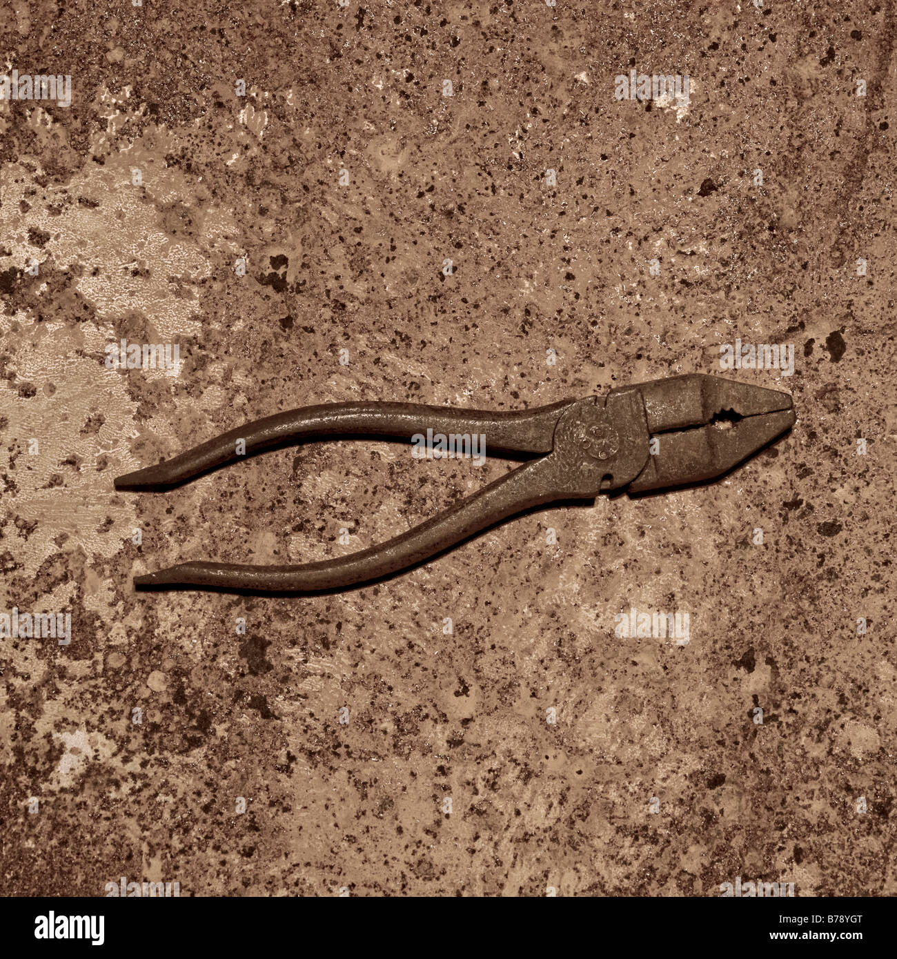 My Image 32