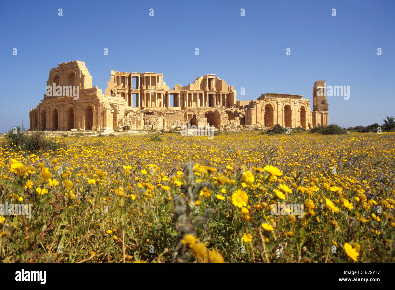Archaeological ruins at Sabratha with field of yellow wild flowers Stock Photo