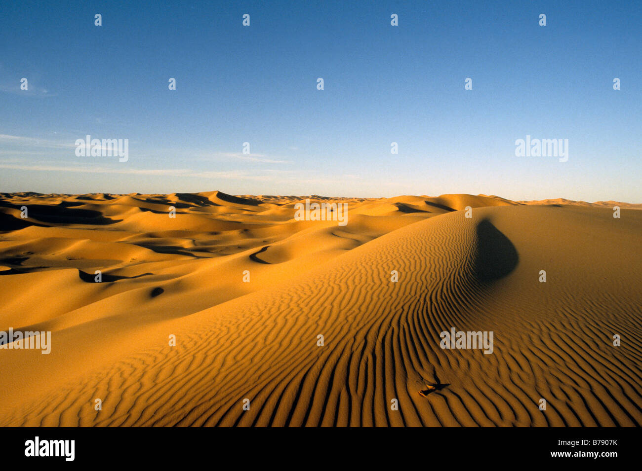 Dune landscape in the Sahara desert Stock Photo - Alamy