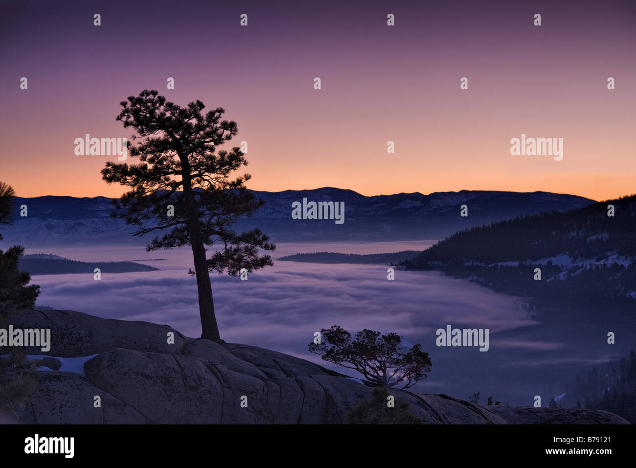 A silhouette of a pine tree at sunrise above a foggy Donner Lake in California Stock Photo