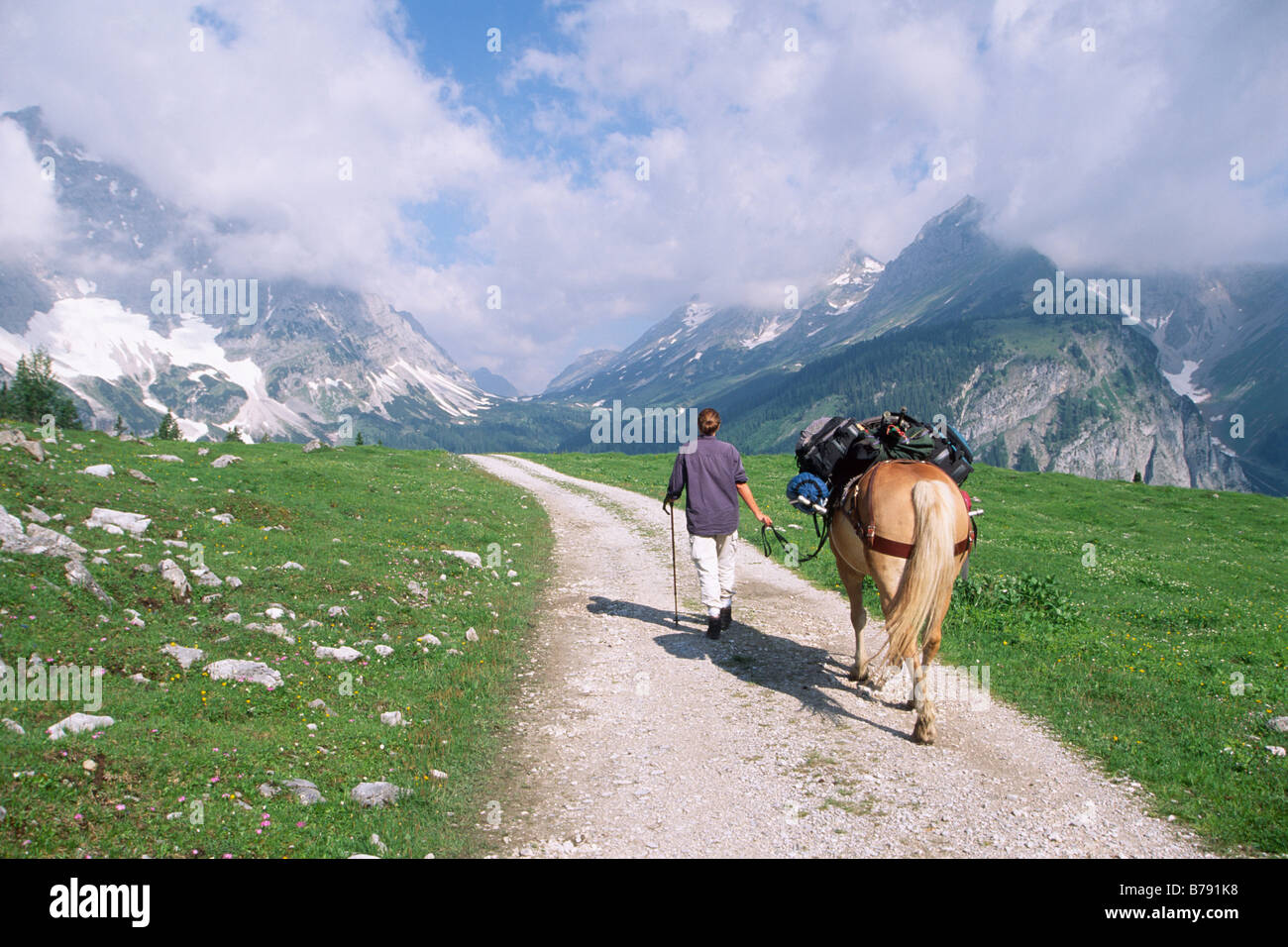 Trekking with Haflinger through the Karwendel Mountains, nature photographer at work, North Tyrol, Austria, Europe Stock Photo