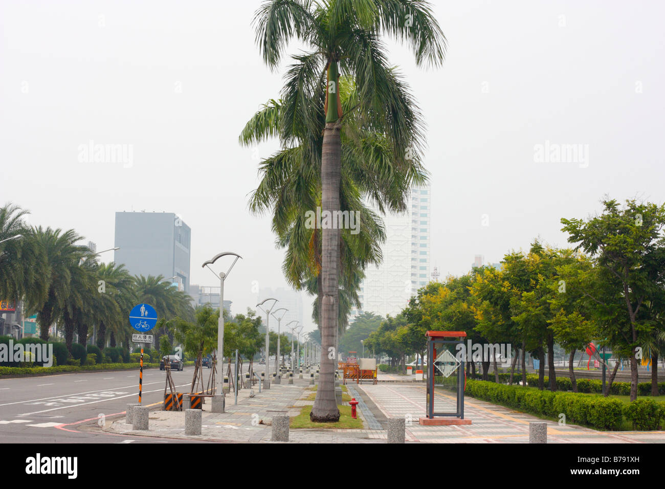 Palm trees along a main road in Tainan, Taiwan Stock Photo Alamy