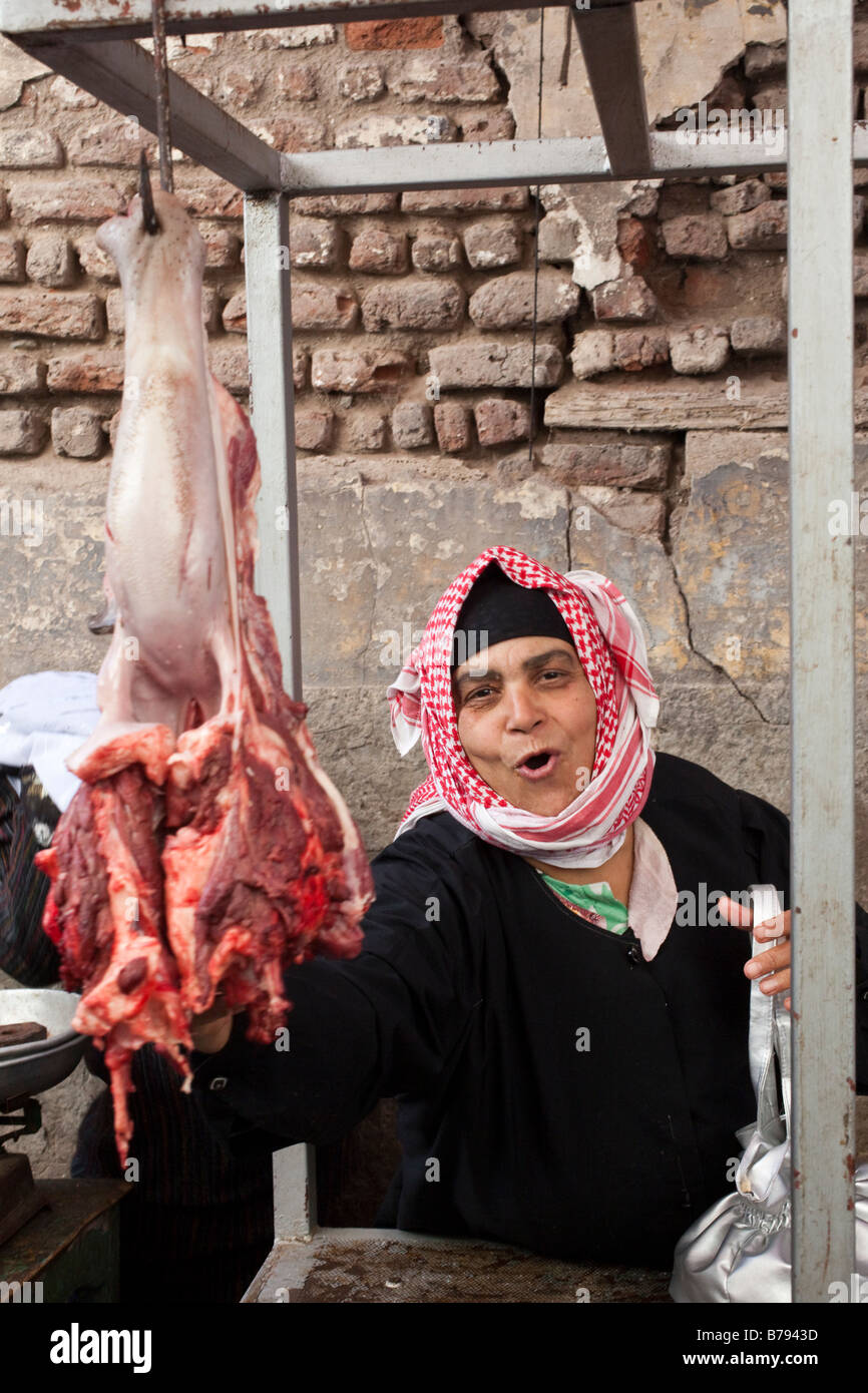 Egyptian chicken hires stock photography and images Alamy