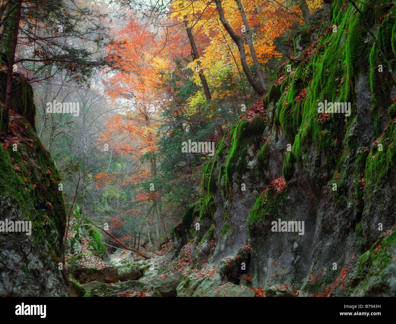 Track in gorge of the Grand Canyon of Crimea in the autumn Stock Photo