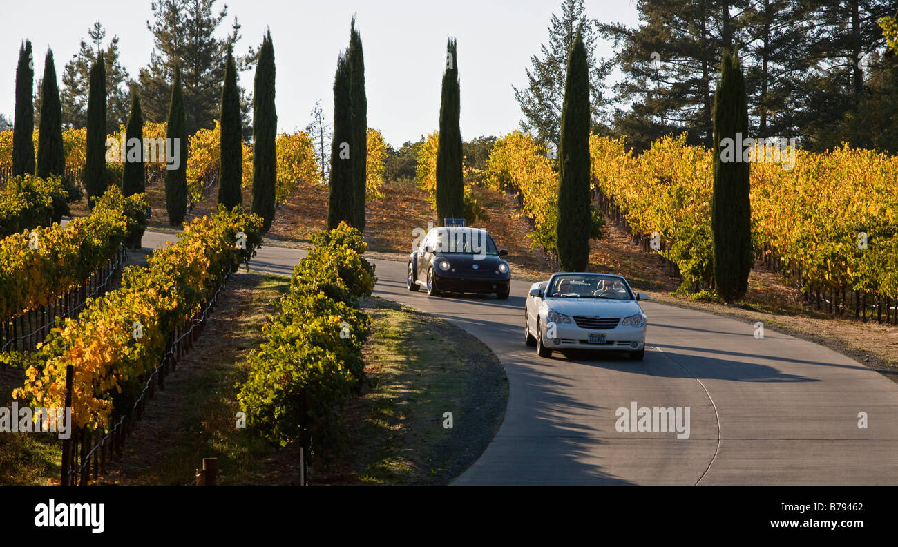 Cars leave VINEYARDS at CASTELLO DI AMAROSA WINERY an ITALIAN CASTLE