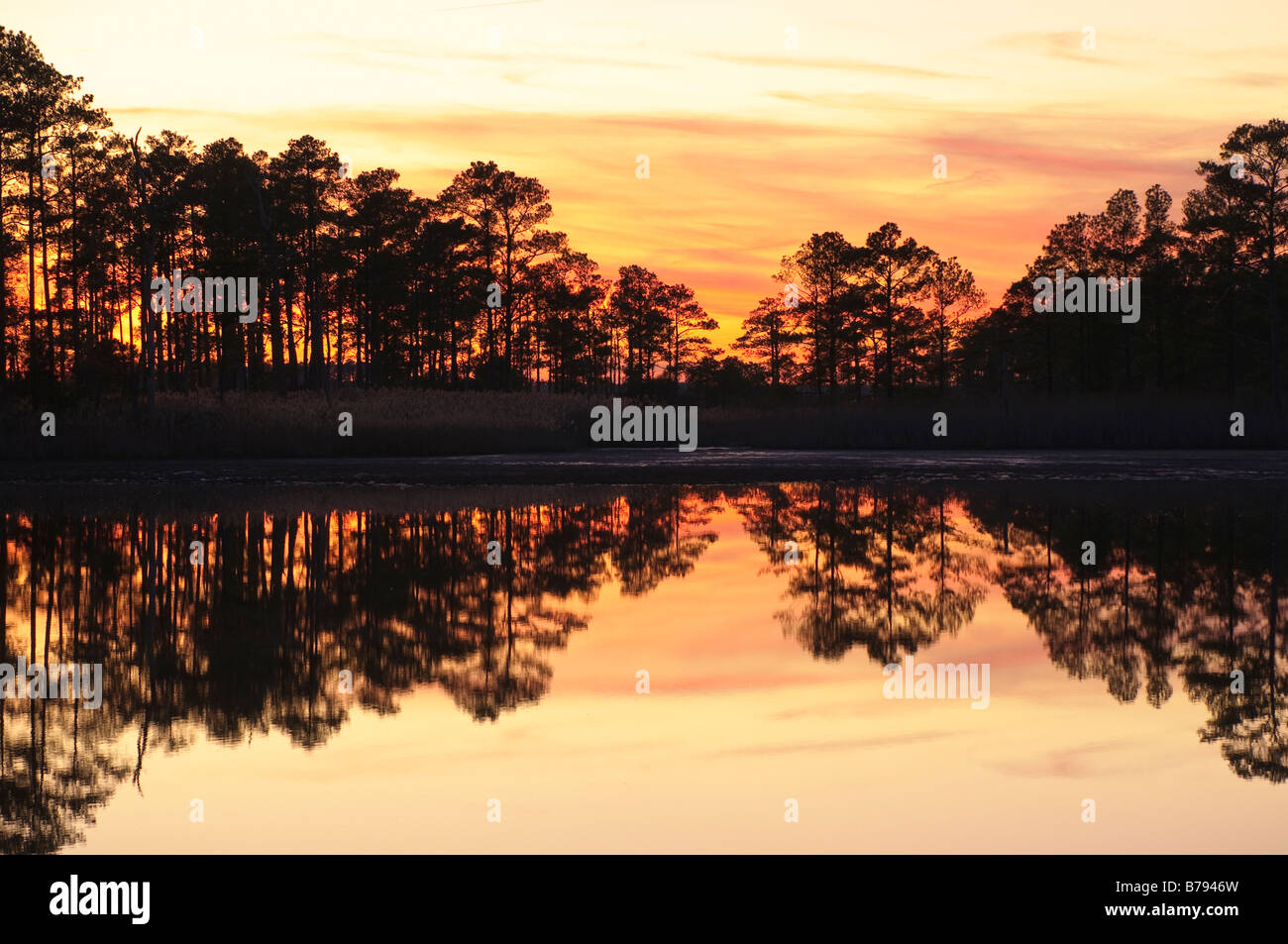 Sunset, Blackwater National Wildlife Refuge Cambridge, Maryland USA