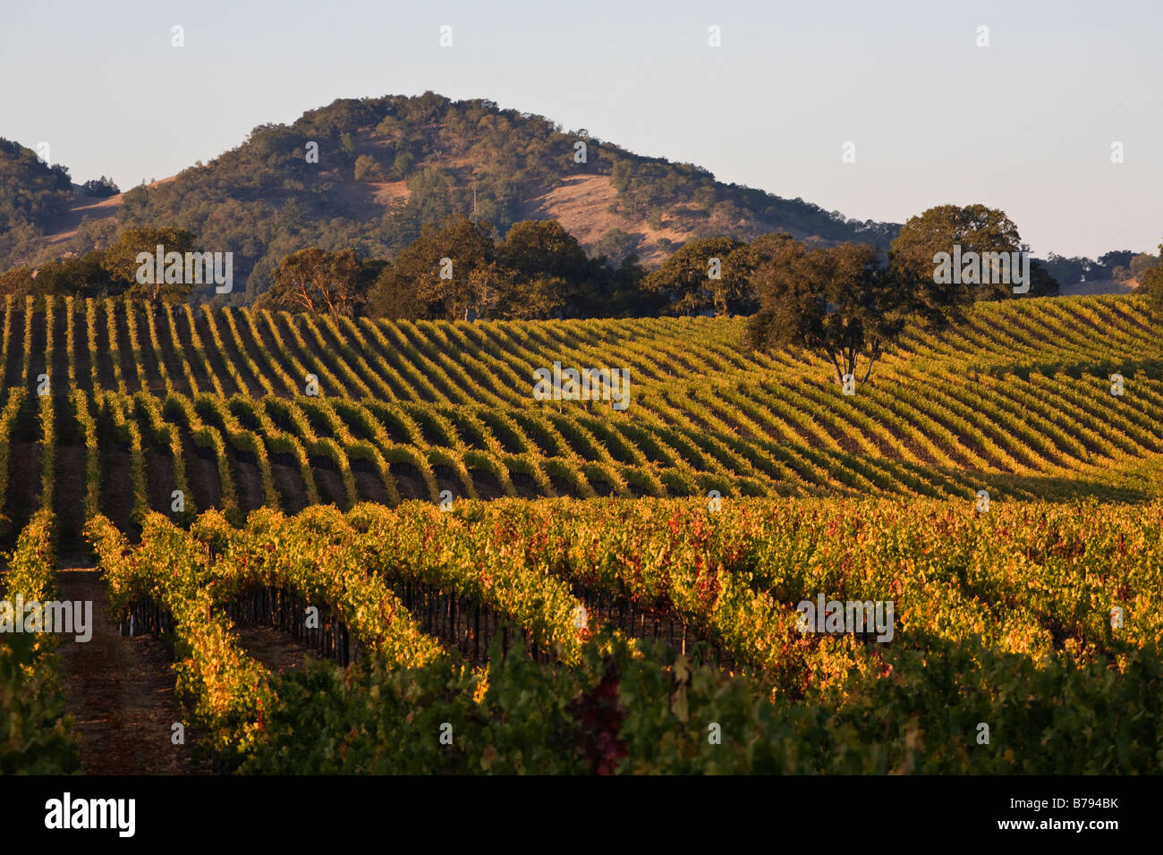 Valley of the vines High Resolution Stock Photography and Images Alamy
