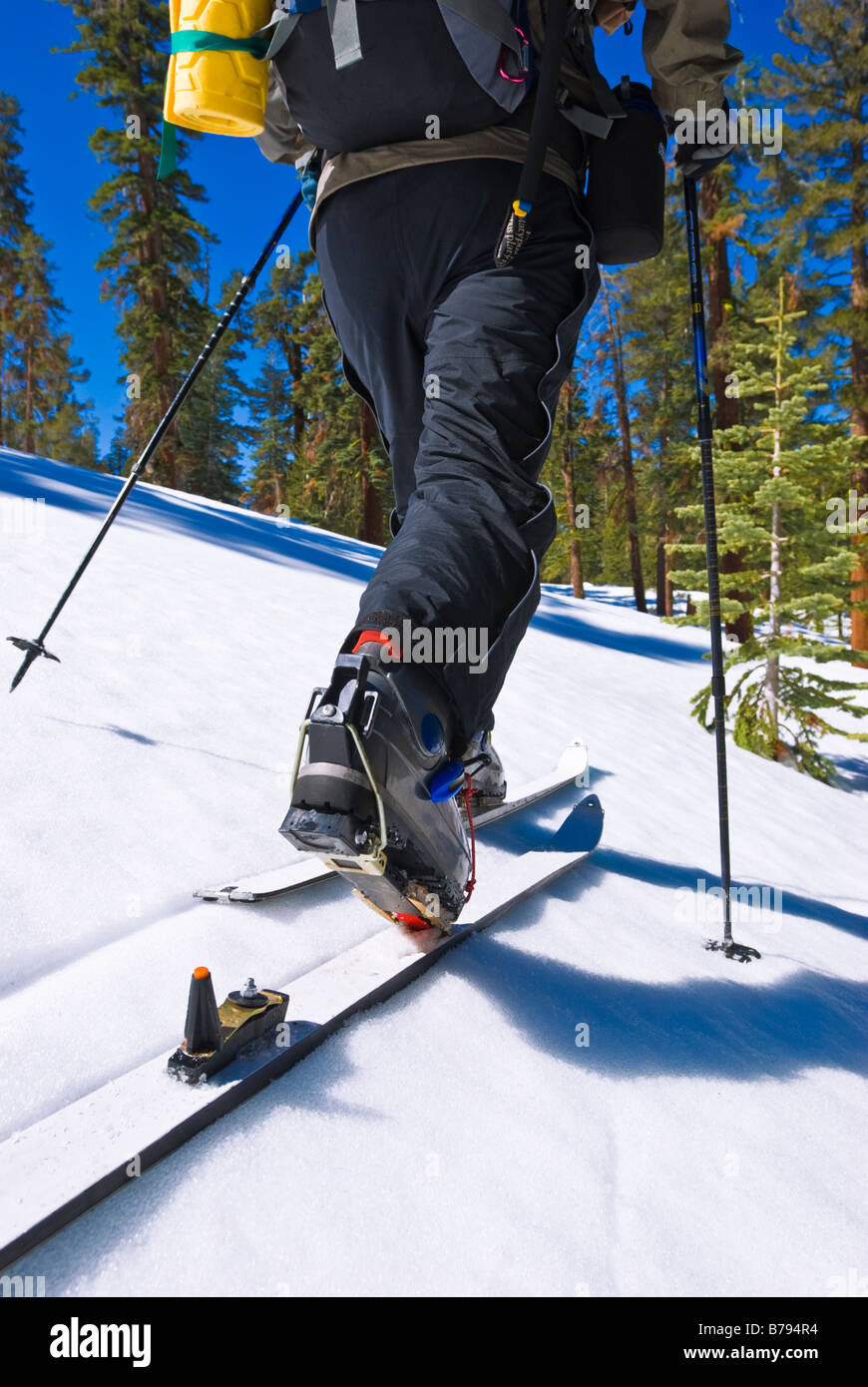 Backcountry skier near glacier point hires stock photography and