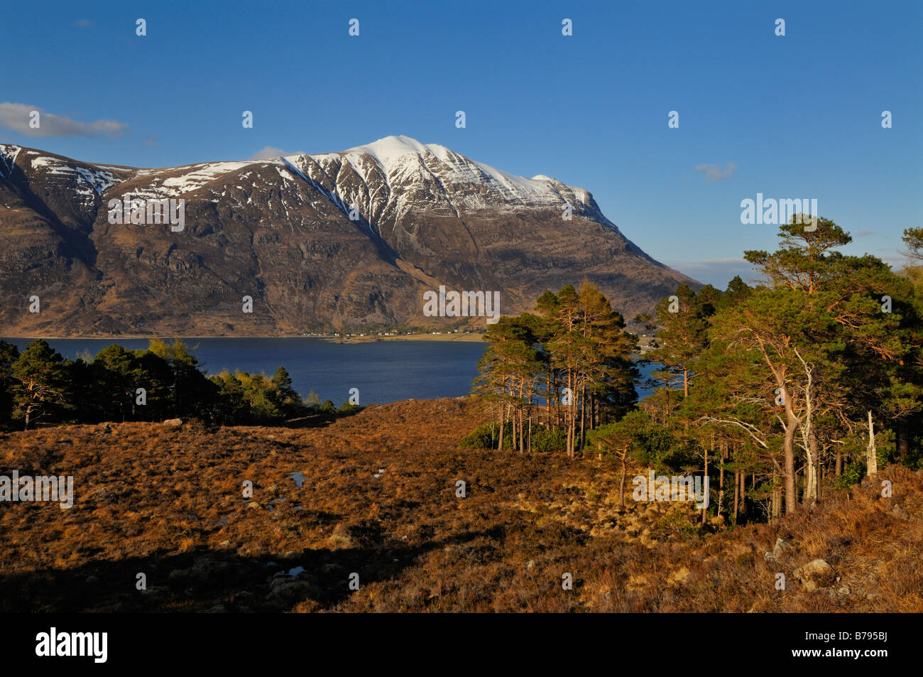 The distant snow capped peak of Liathach rises beyond Loch Torridon and nearby pine woods Torridon Wester Ross northern Scotland Stock Photo
