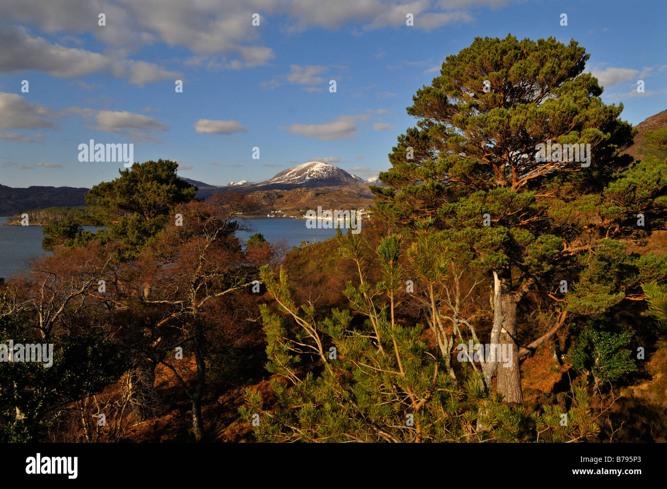 The distant snow capped peaks of Torridon rise beyond Loch Torridon and nearby pine woods and the village of Shieldaig W. Ross Stock Photo