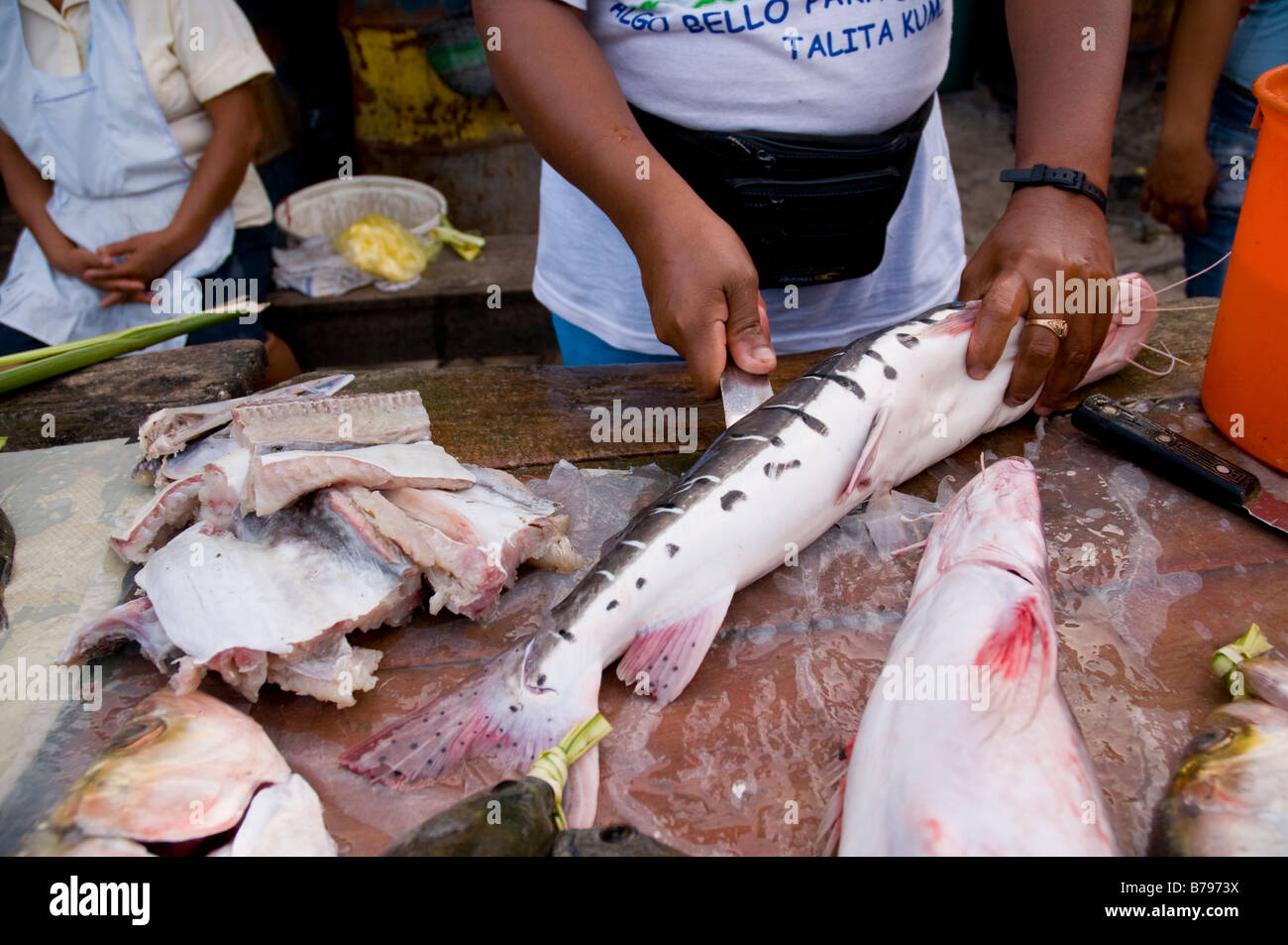 Fish being gutted hires stock photography and images Alamy