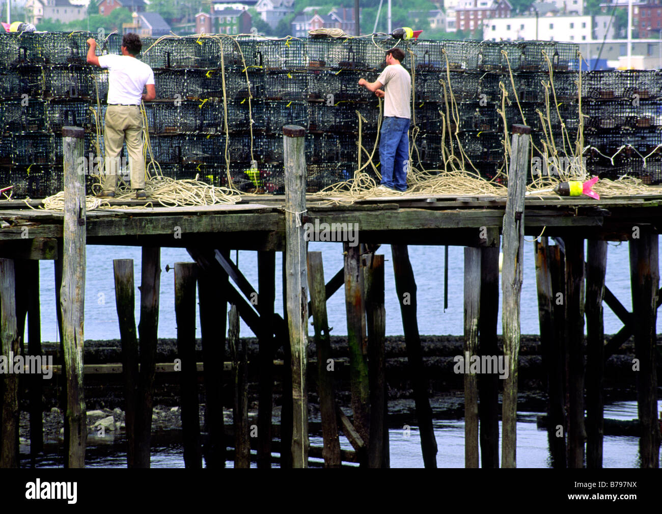 preparing lobster traps in Maine USA Stock Photo Alamy
