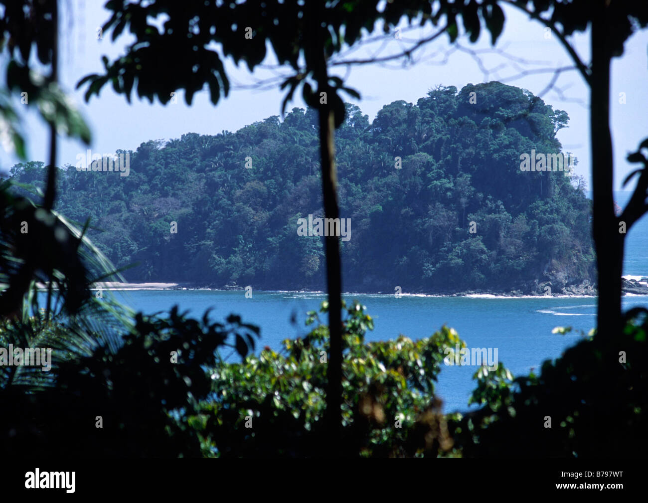 Manuel antonio rainforest hires stock photography and images Alamy