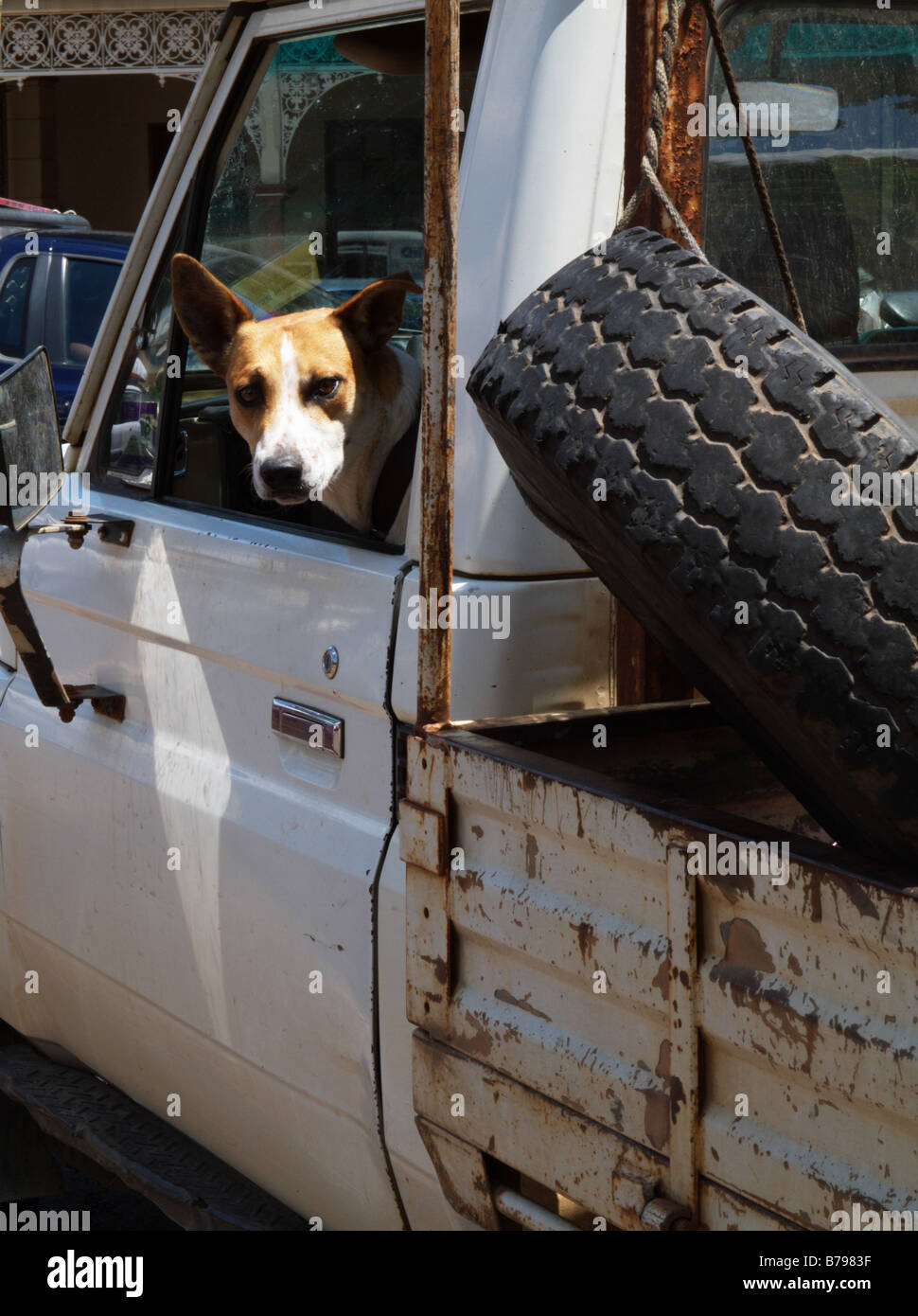 Australian security guard hires stock photography and images Alamy